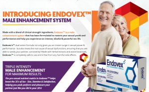 ENDOVEX intro
